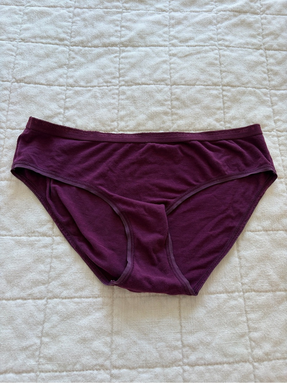 Victoria's Secret Cotton Bikini Panty in Plum